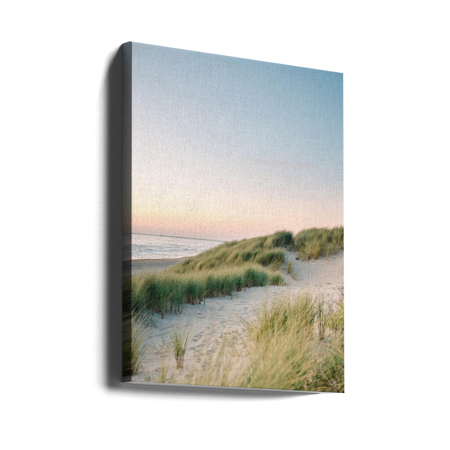 Holländska sanddyner | Canvas