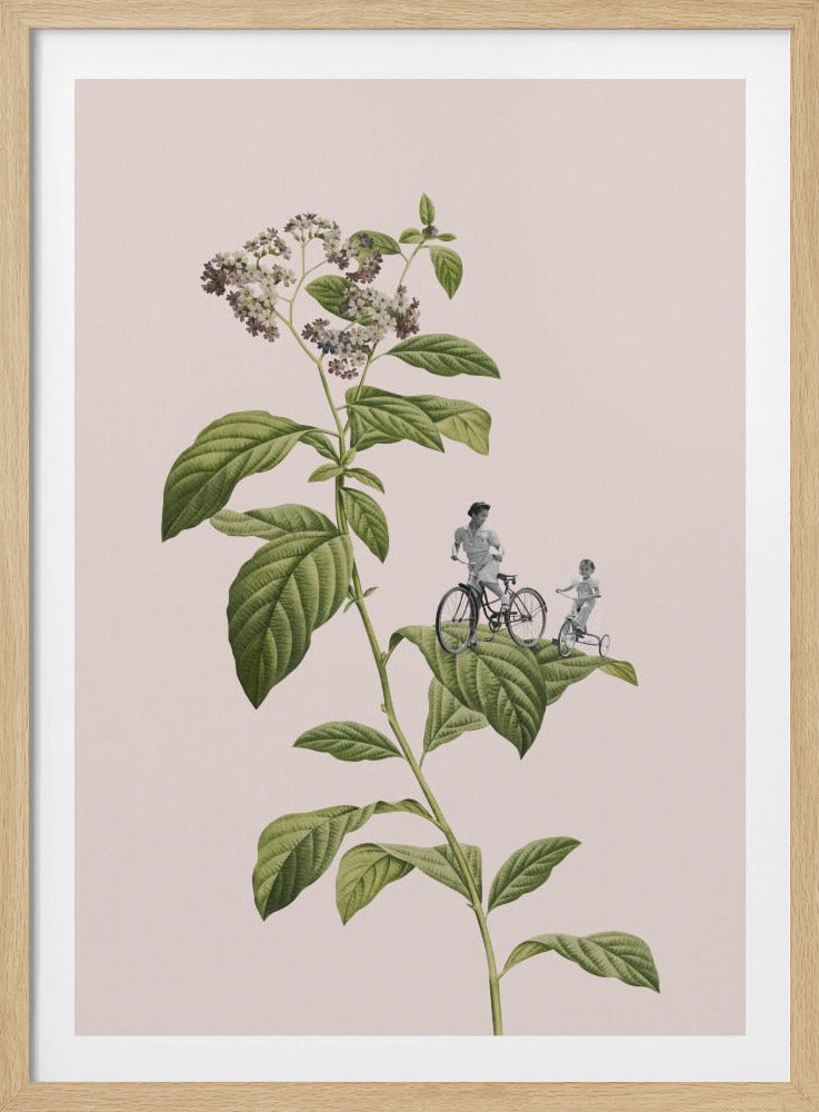 Ciclismo botánico | Posters - Impresiones de Arte