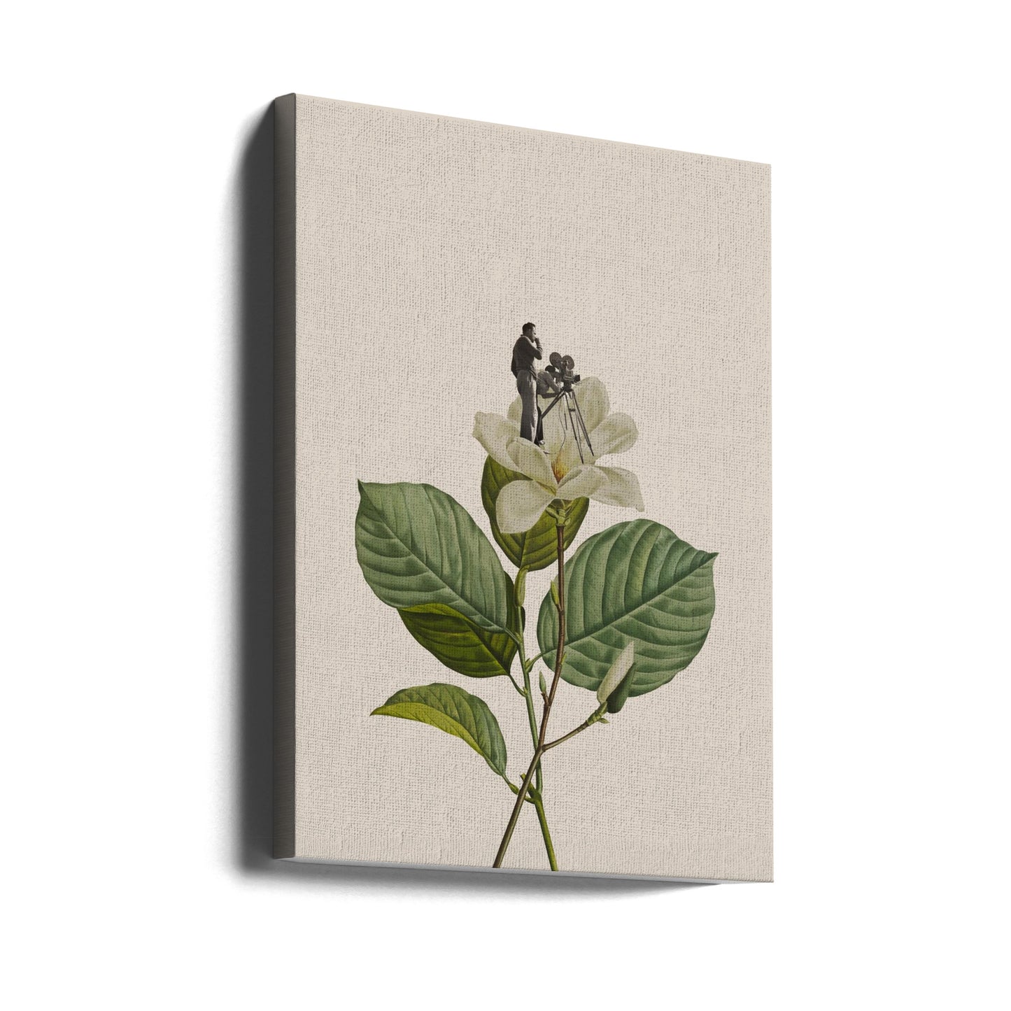 Botanische vintage cameraman | Canvasprints