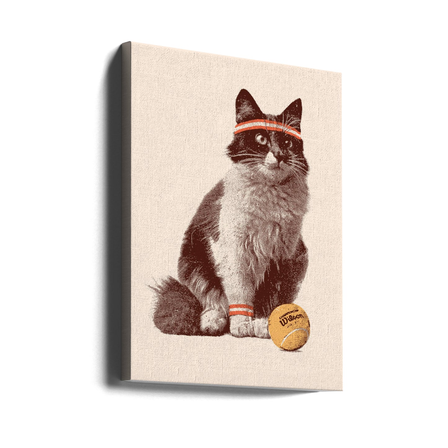Tenniskat | Lærredsbilleder