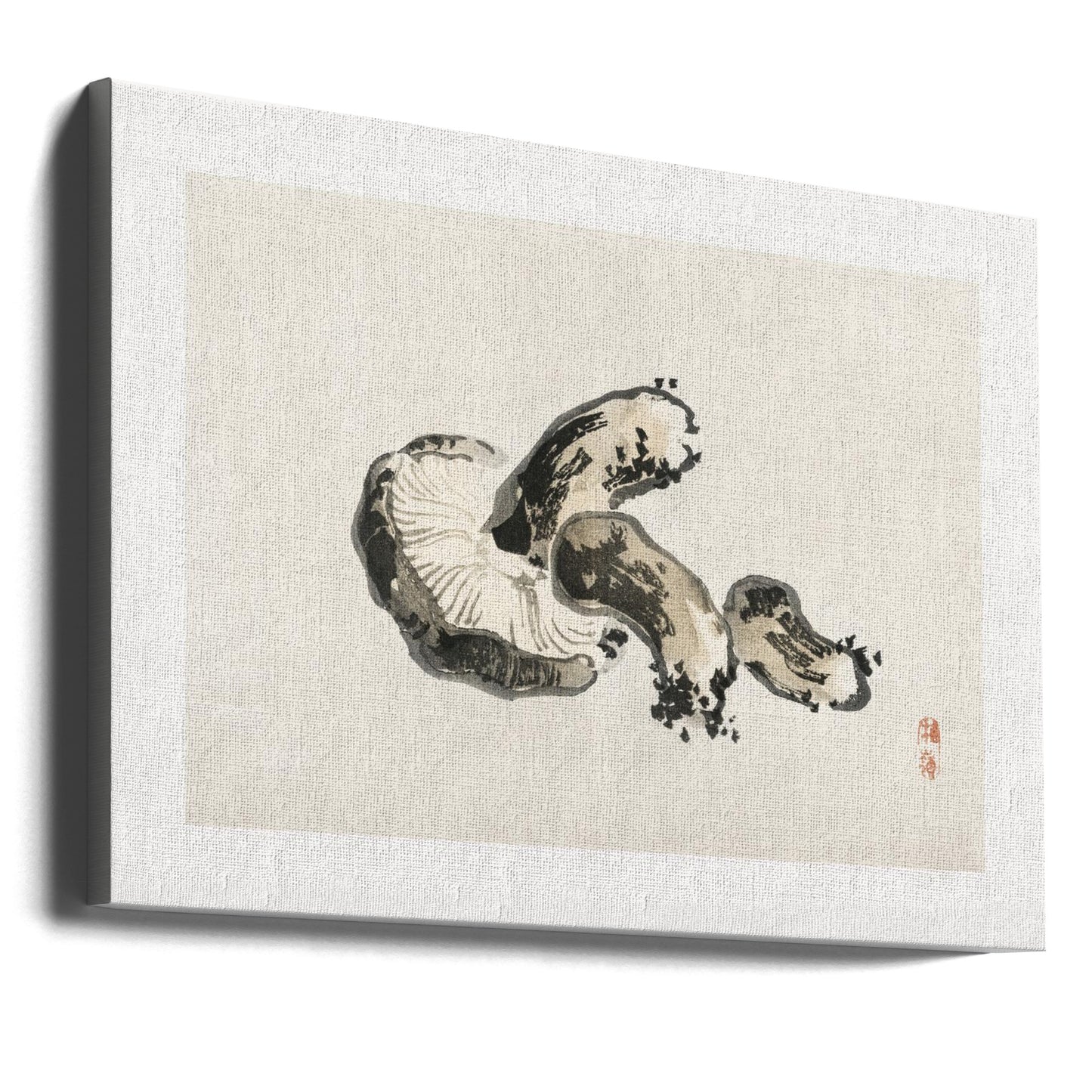 Grzyb Shiitake | Wydruki na łótnie