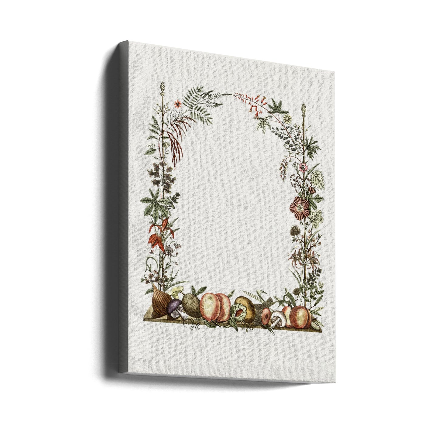 Cadre botanique dessiné à la main | Tableaux sur Toile