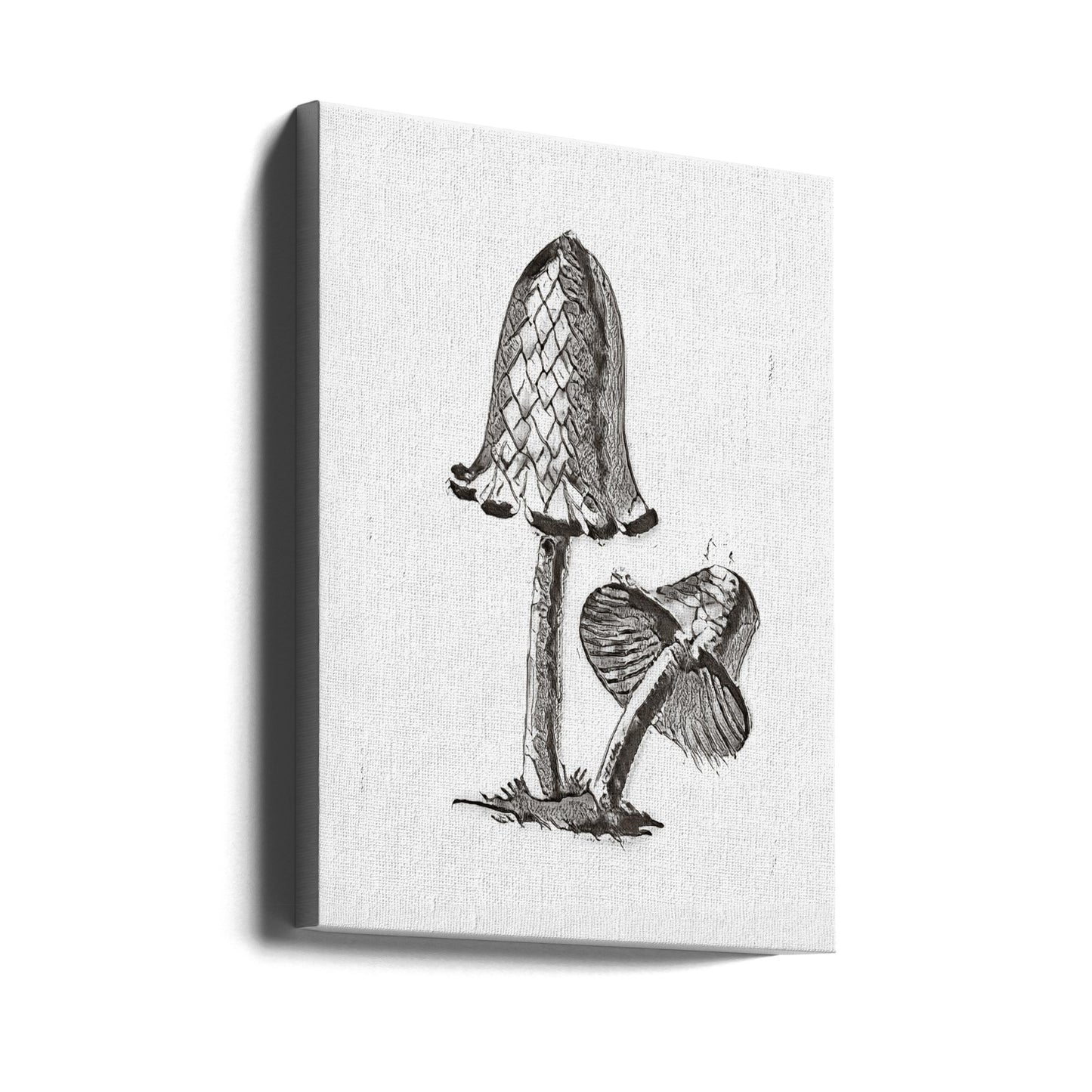 Vintage Inky Hat Spiselig Svampe BW Lys | Lærredsbilleder