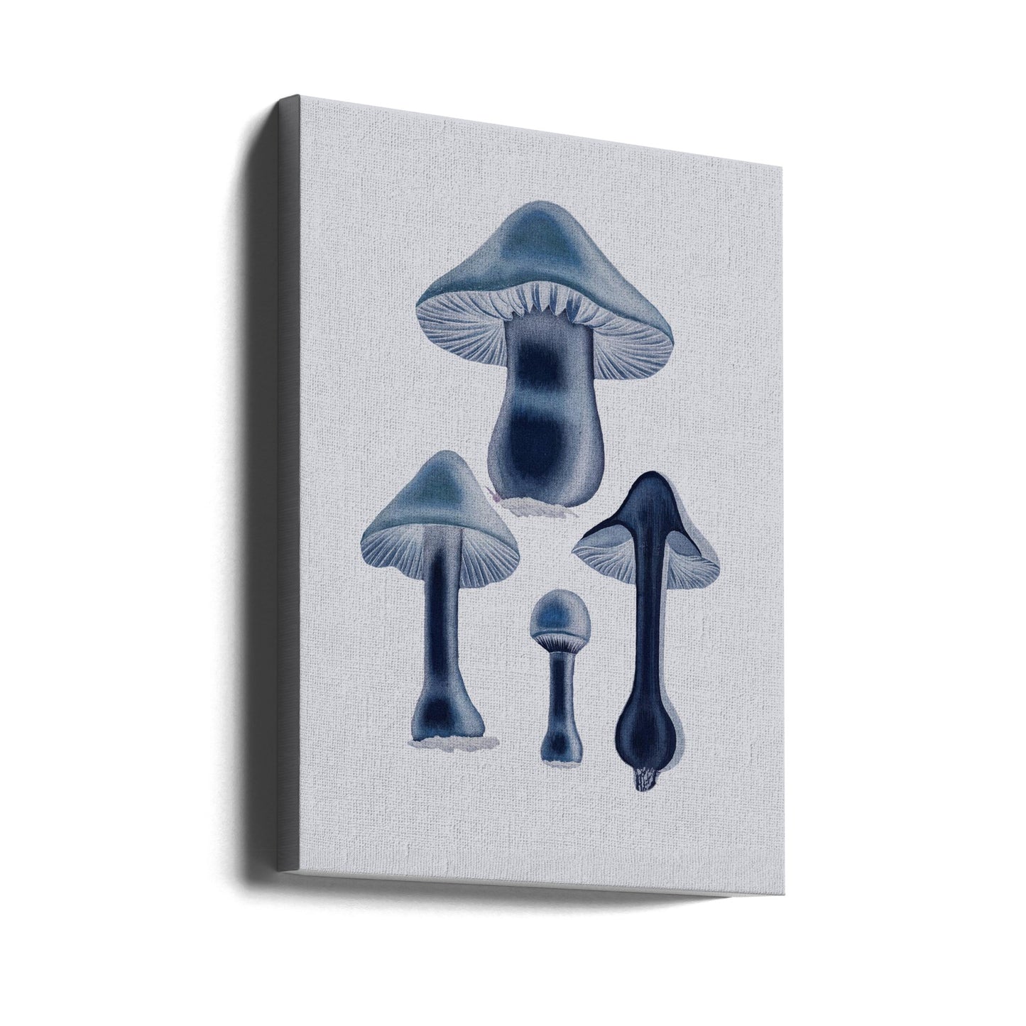Agaricus Bulbosus - Blå | Lærredsbilleder