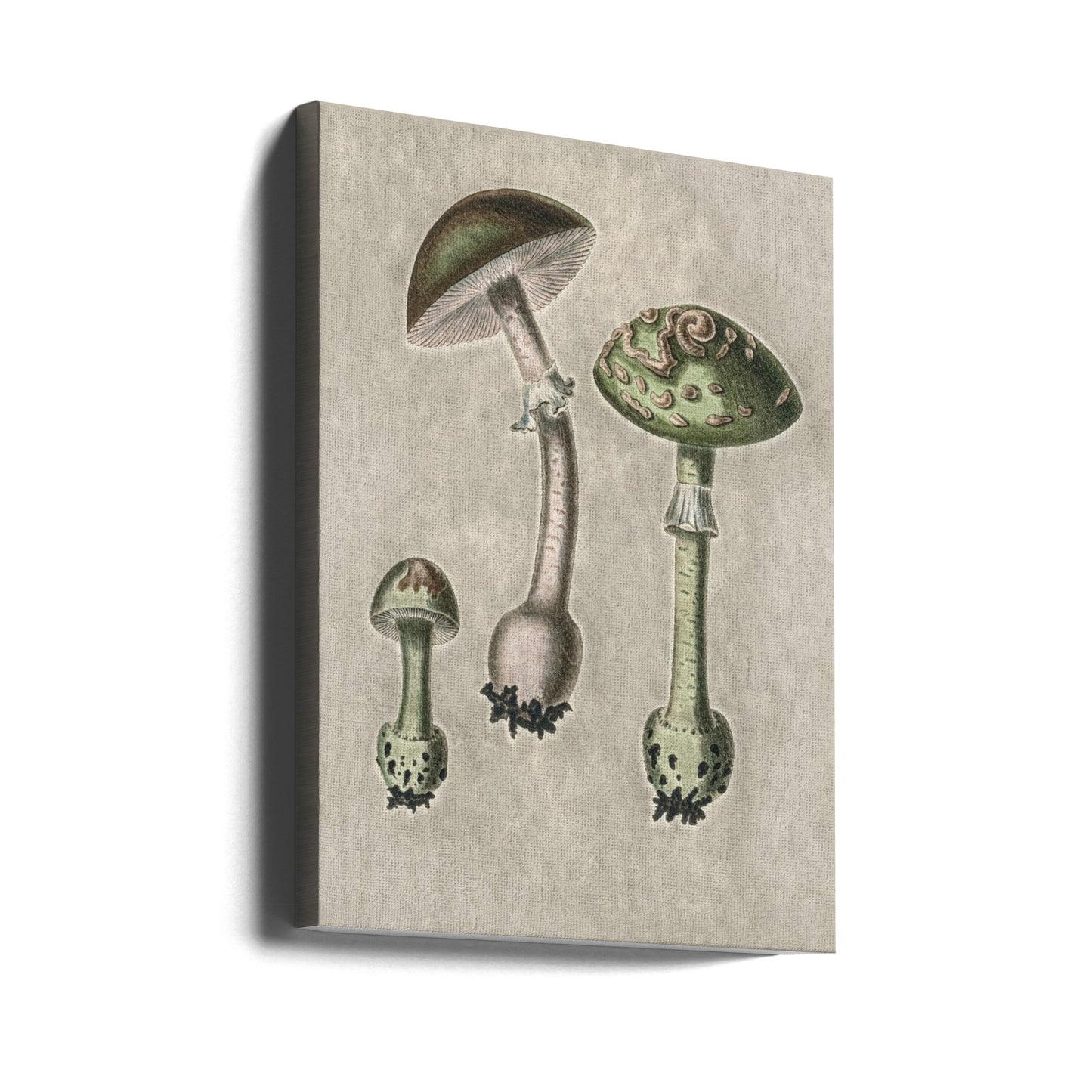 Amanita Muscaria Remix Grön | Canvas