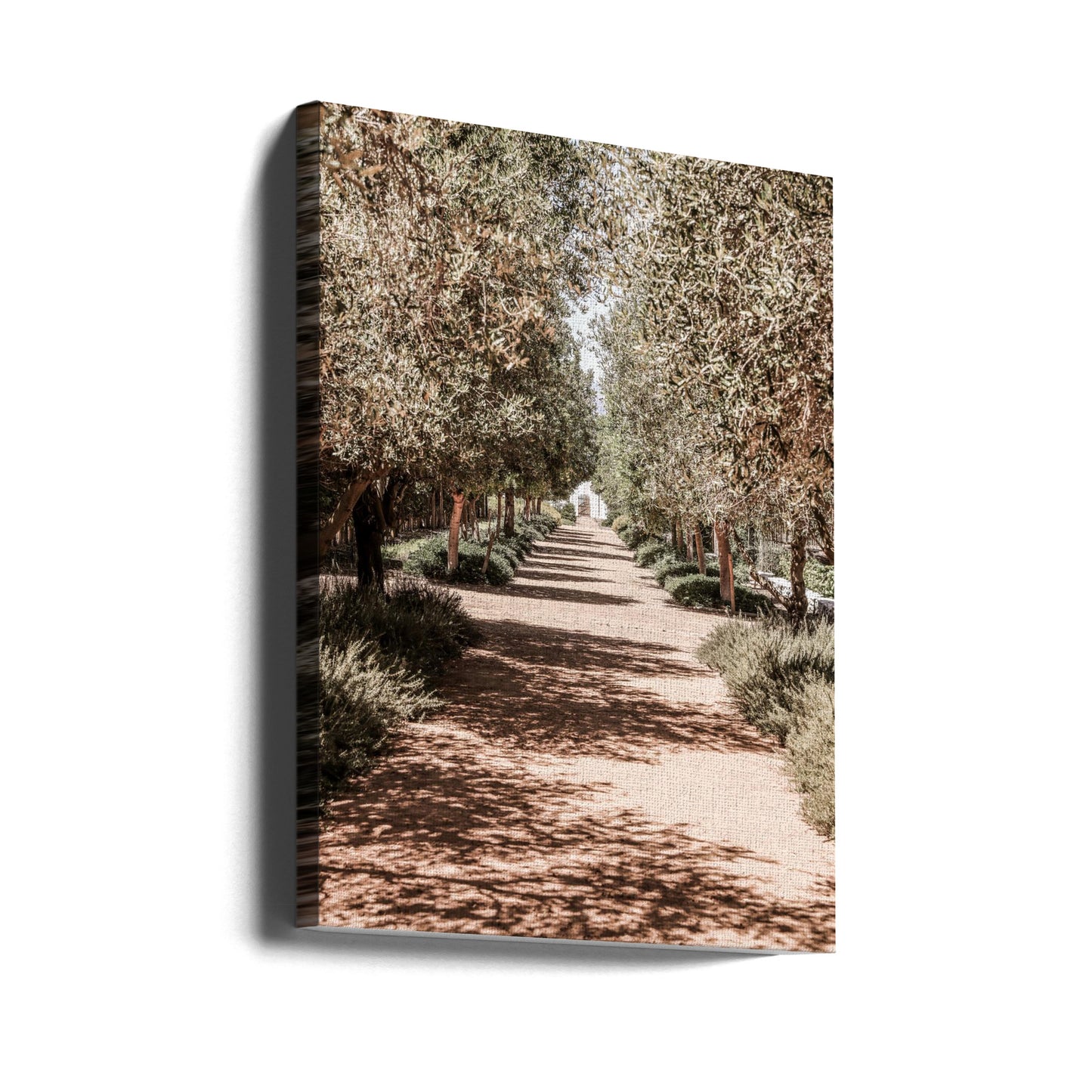 Jardín secreto | Impresiones en Lienzo
