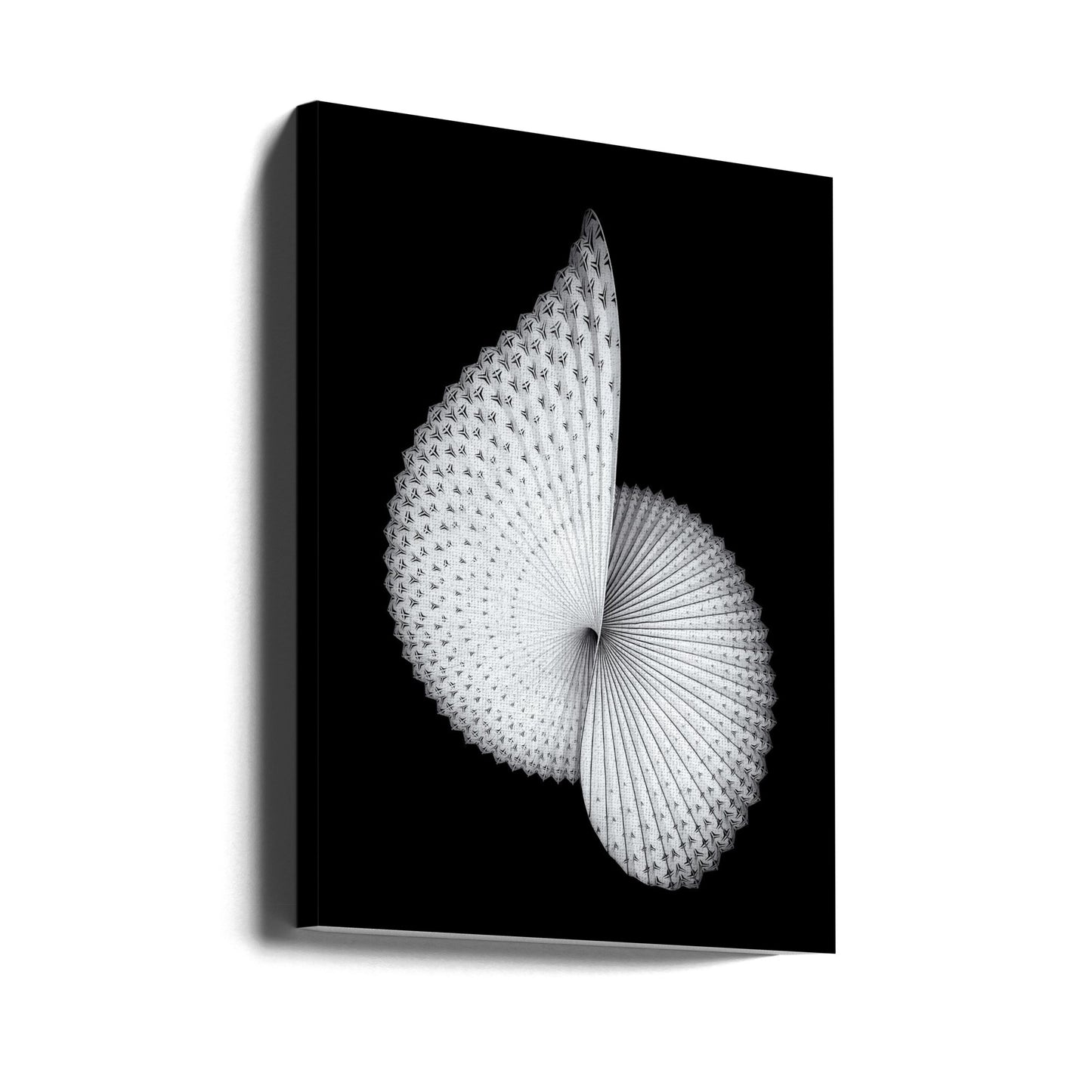 Scultura simile al Nautilus | Stampe su Tela