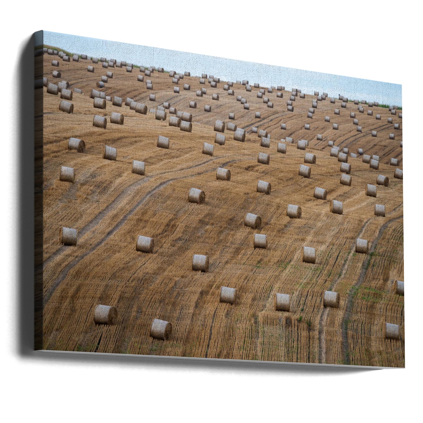 72 | Tableaux sur Toile