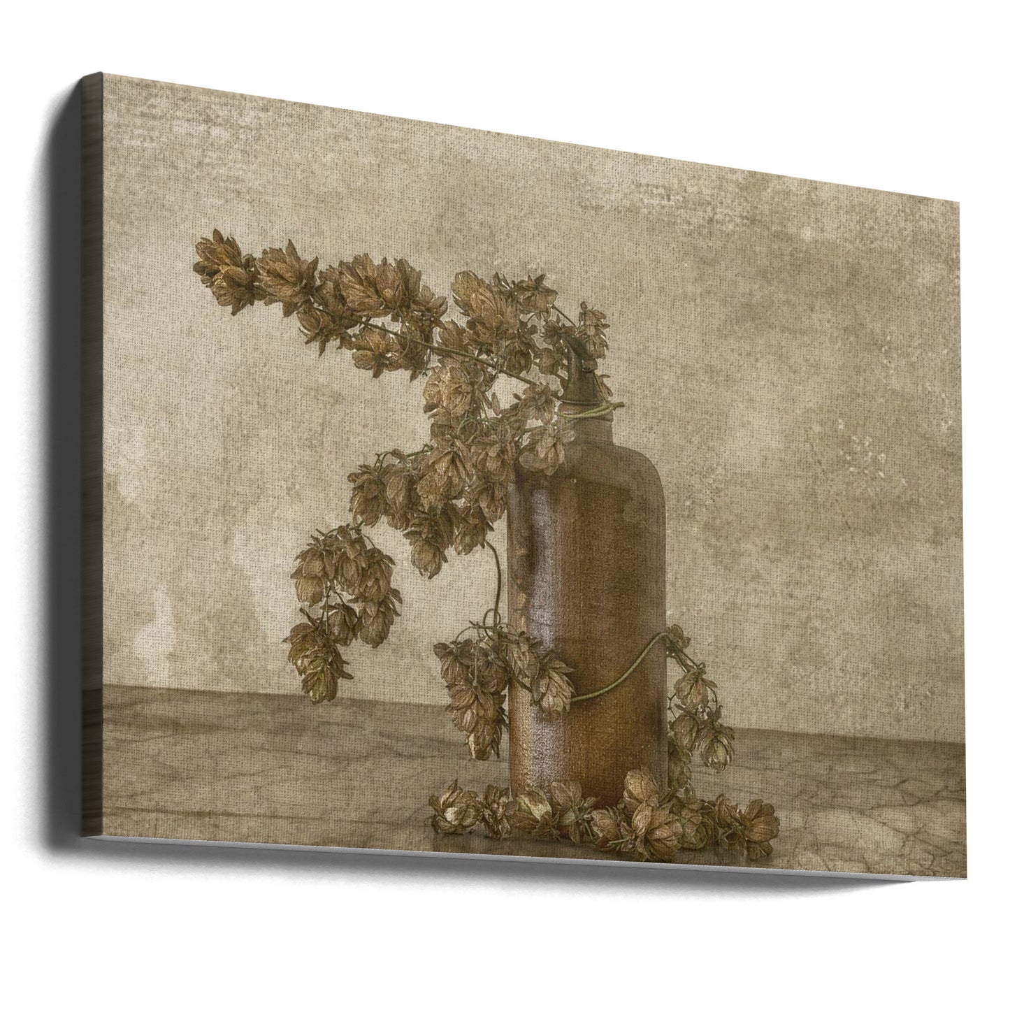 Vanlig humle 2 | Canvas