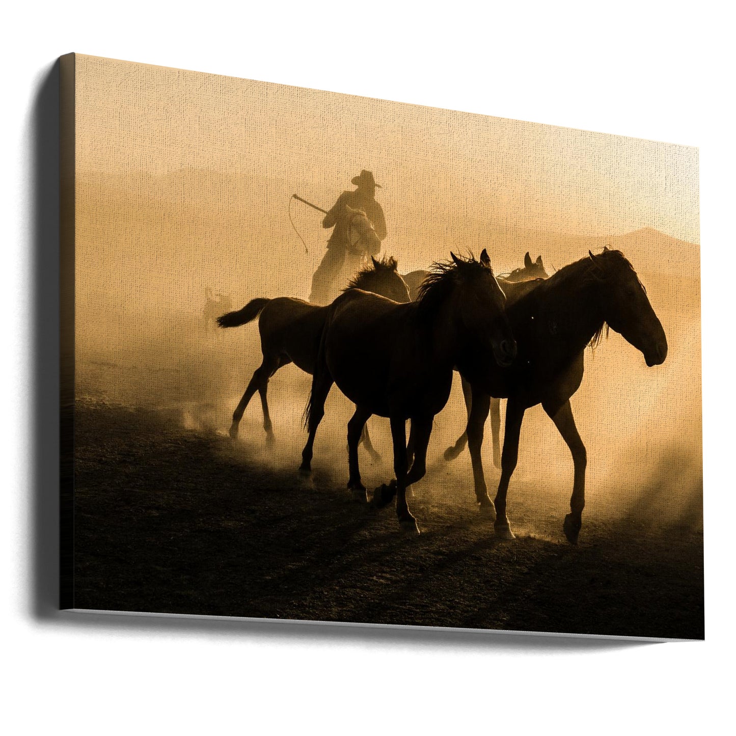Lauf zwischen Pferden | Leinwand-Bilder