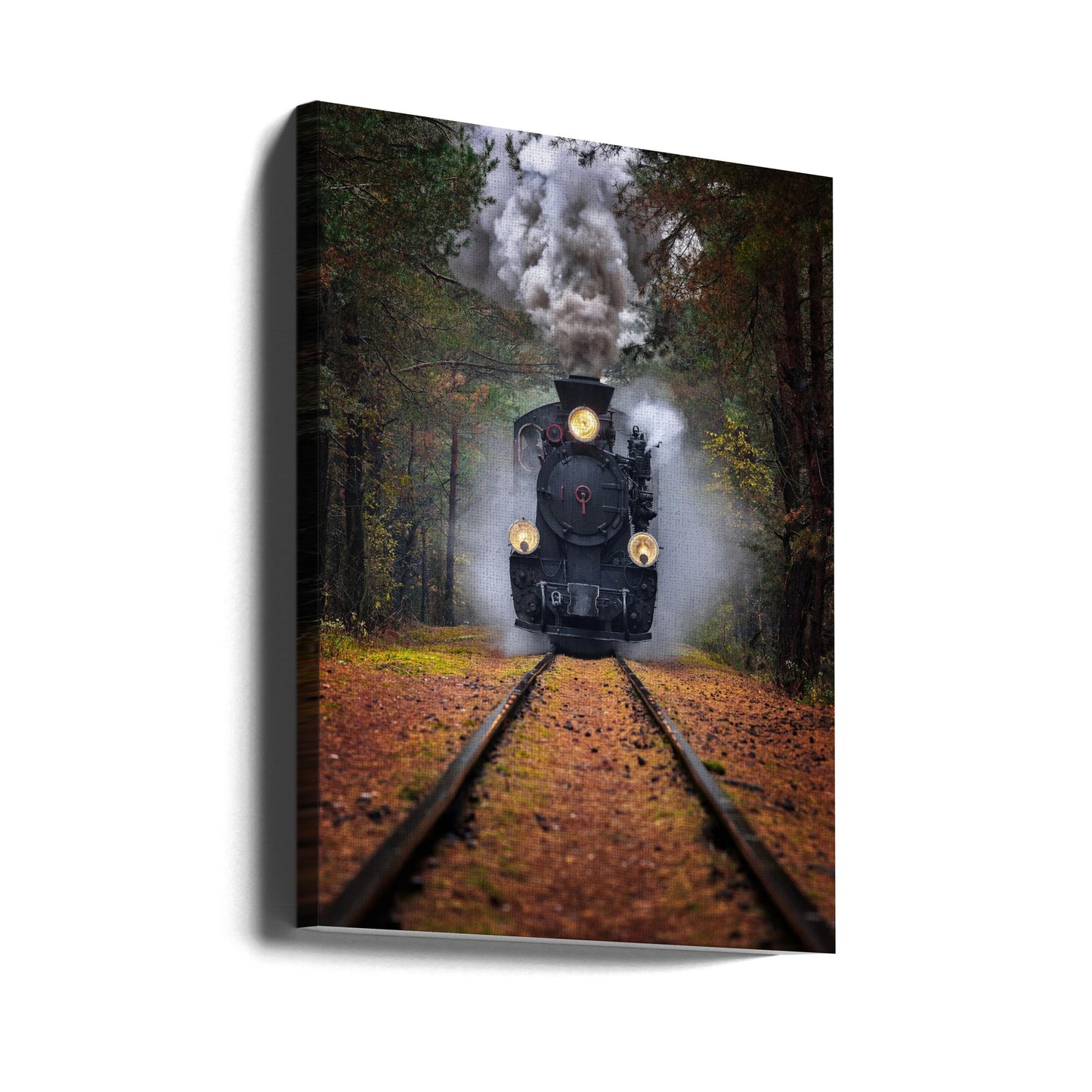 Door het herfstbos | Canvasprints