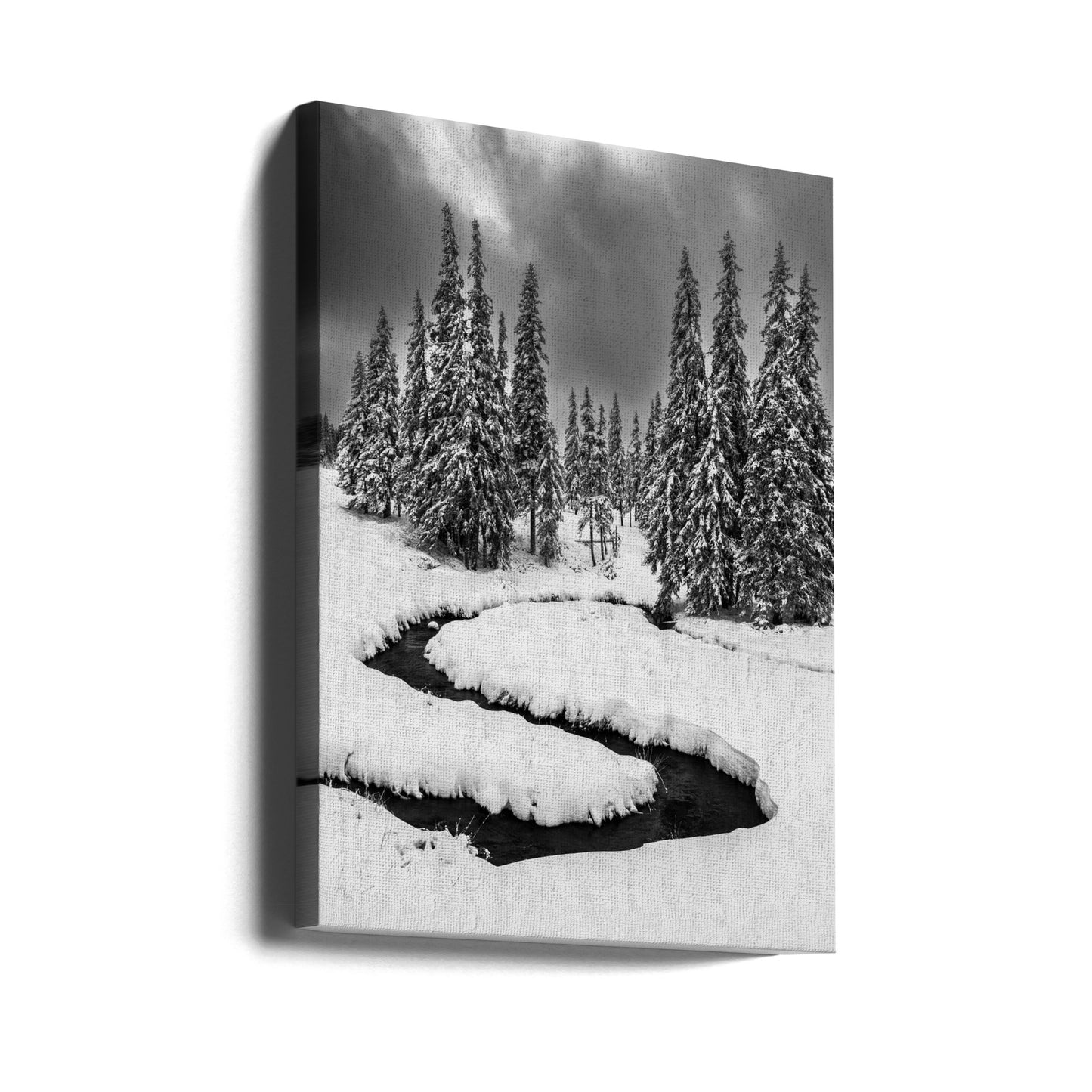Primera nevada | Impresiones en Lienzo