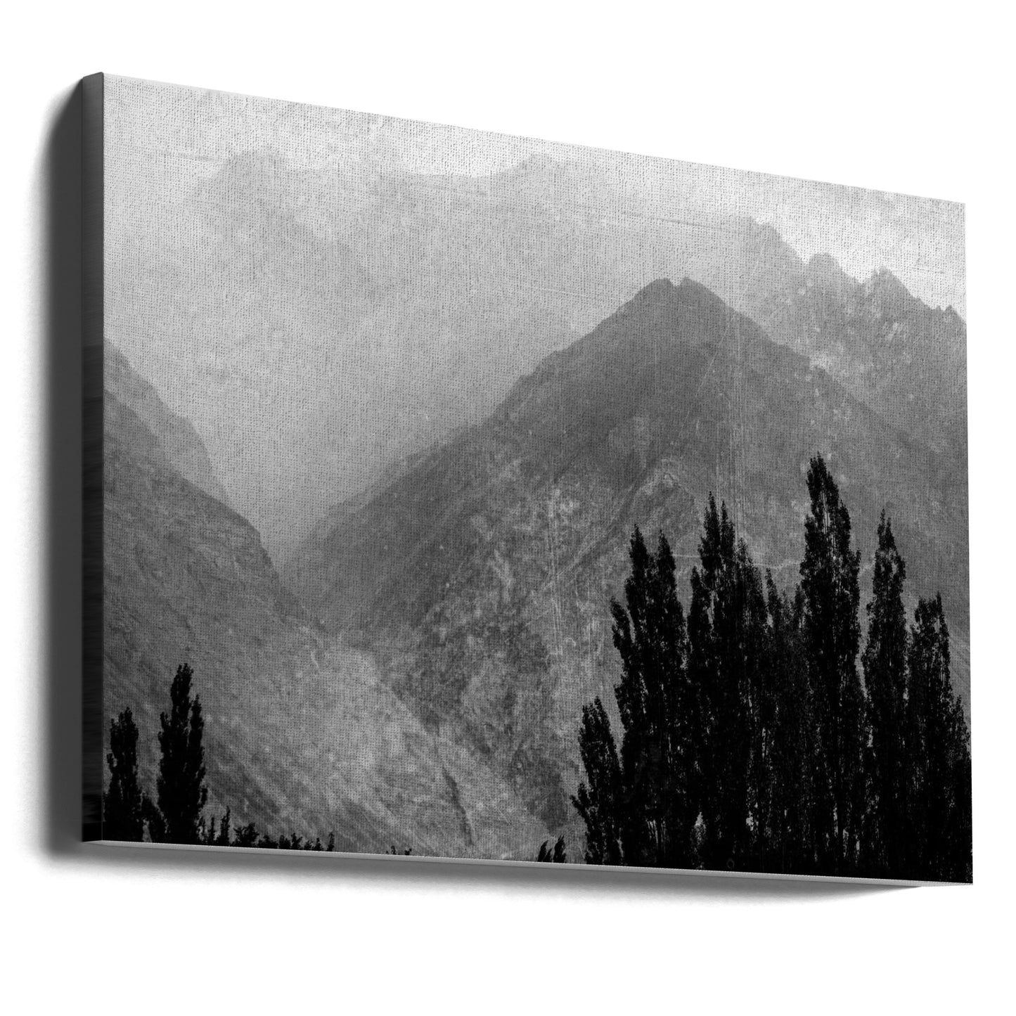 Alberi in montagna | Stampe su Tela