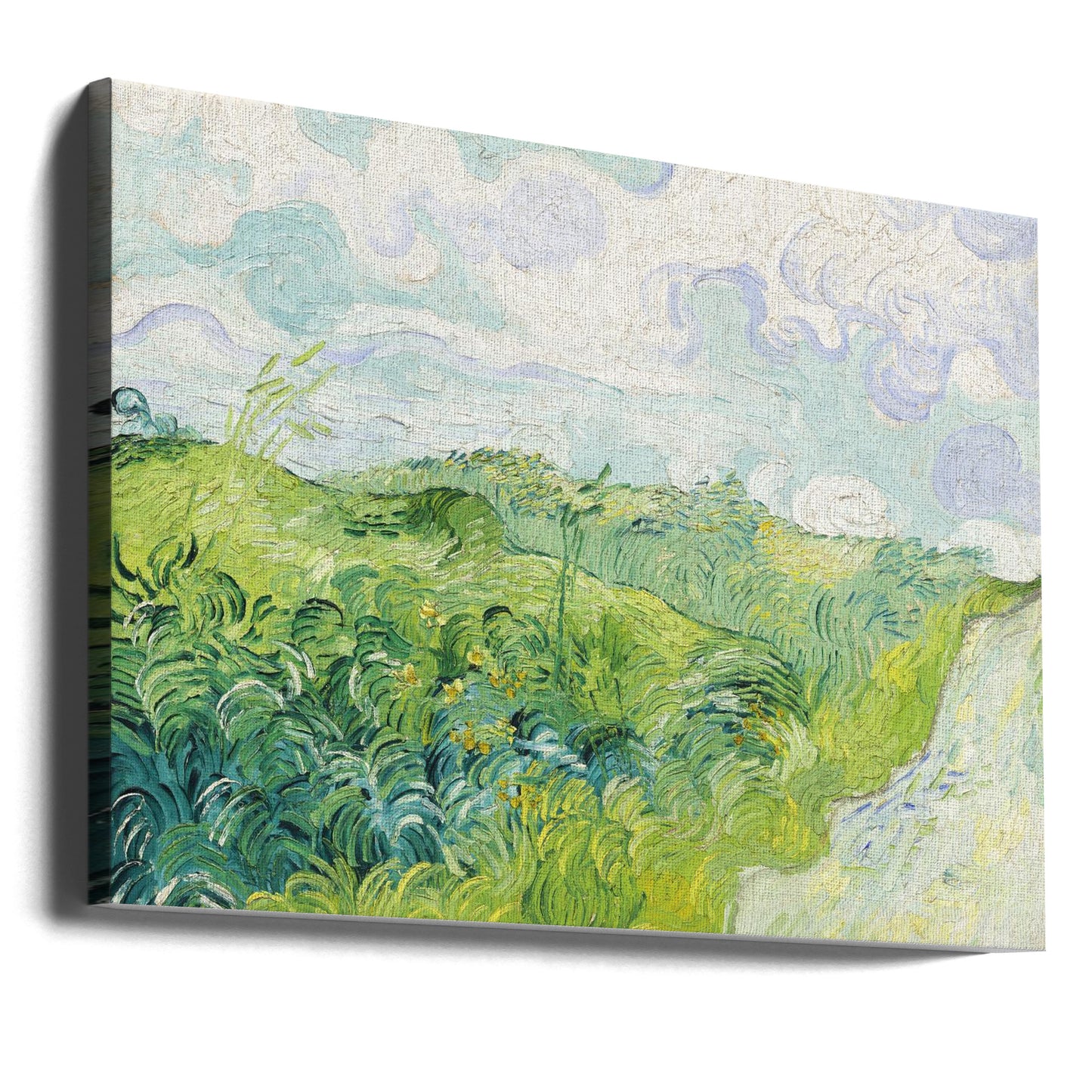 Campos de trigo verde, Auvers (1890) de Vincent Van Gogh | Impresiones en Lienzo