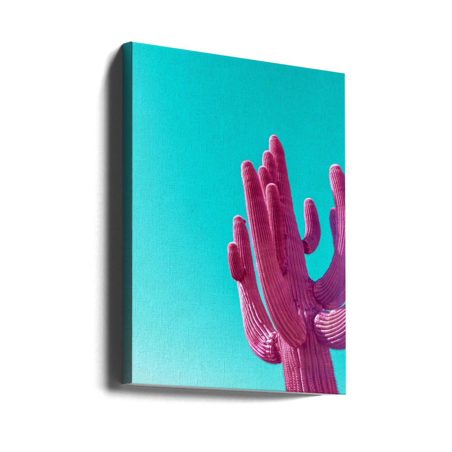 Saguaro rose magenta | Tableaux sur Toile