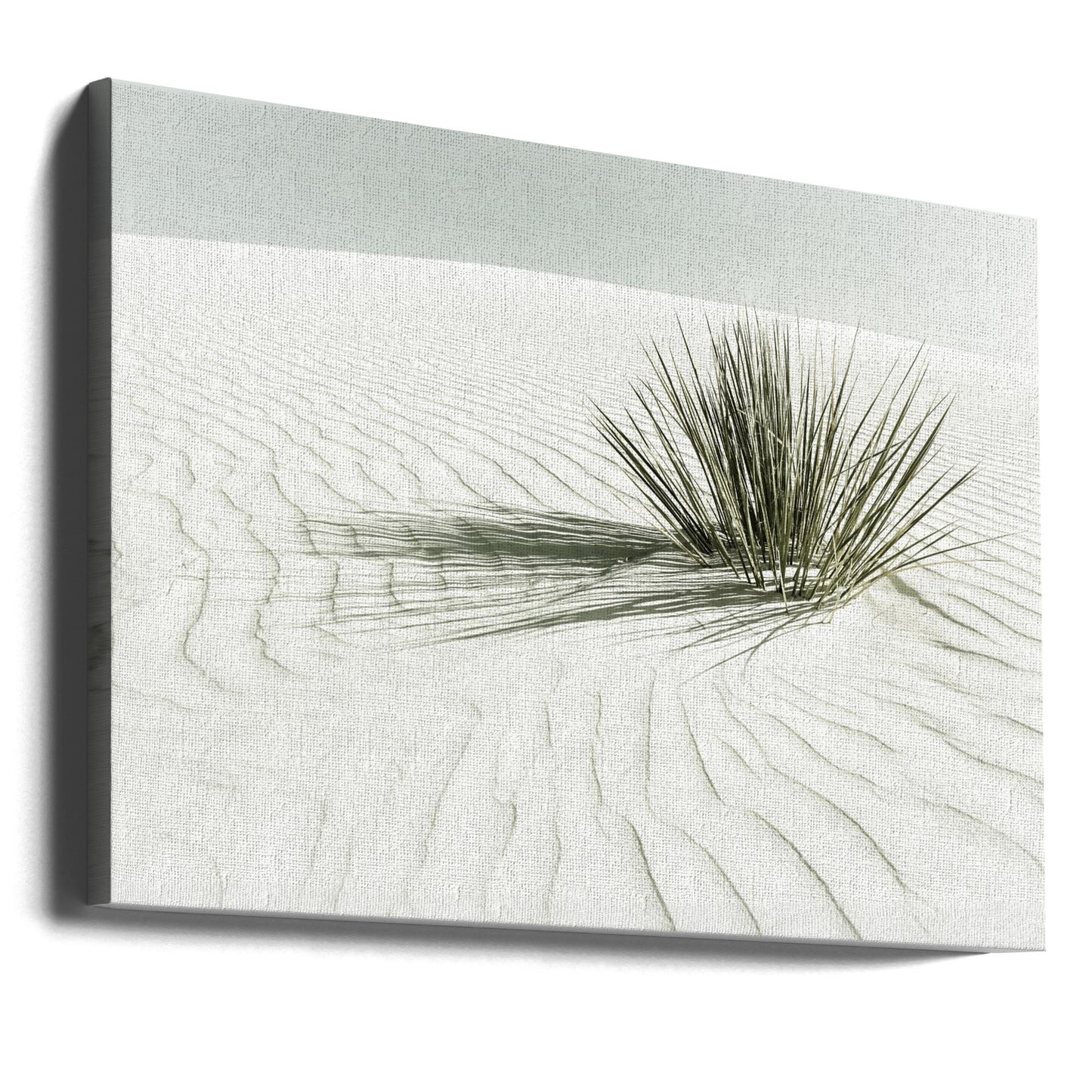 WHITE SANDS Vintage Dune | Canvas