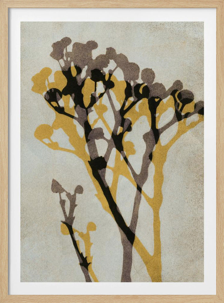 Echoes of Gypsophila | Poster