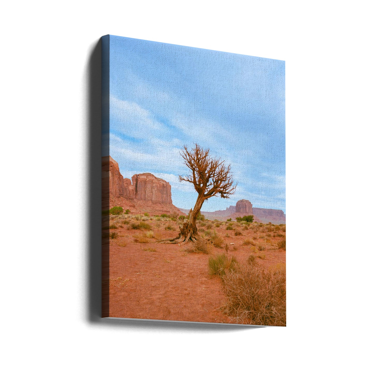 Monument Valley XI | Canvastaulut