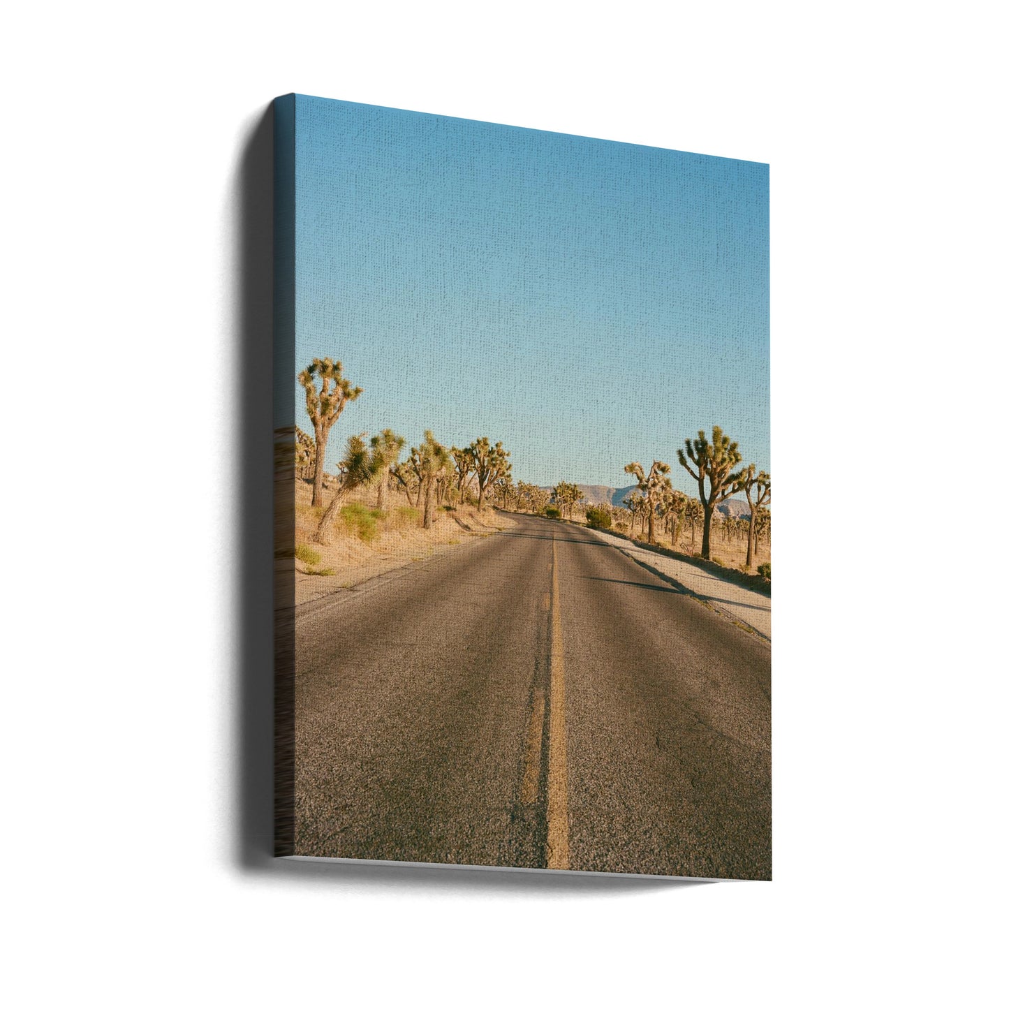 Droga Joshua Tree II | Wydruki na łótnie