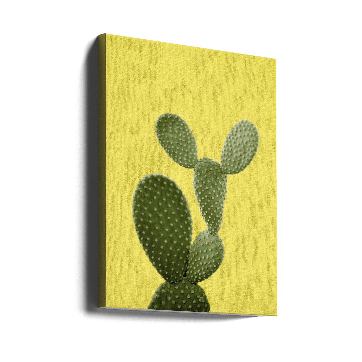 Gul kaktus | Canvas