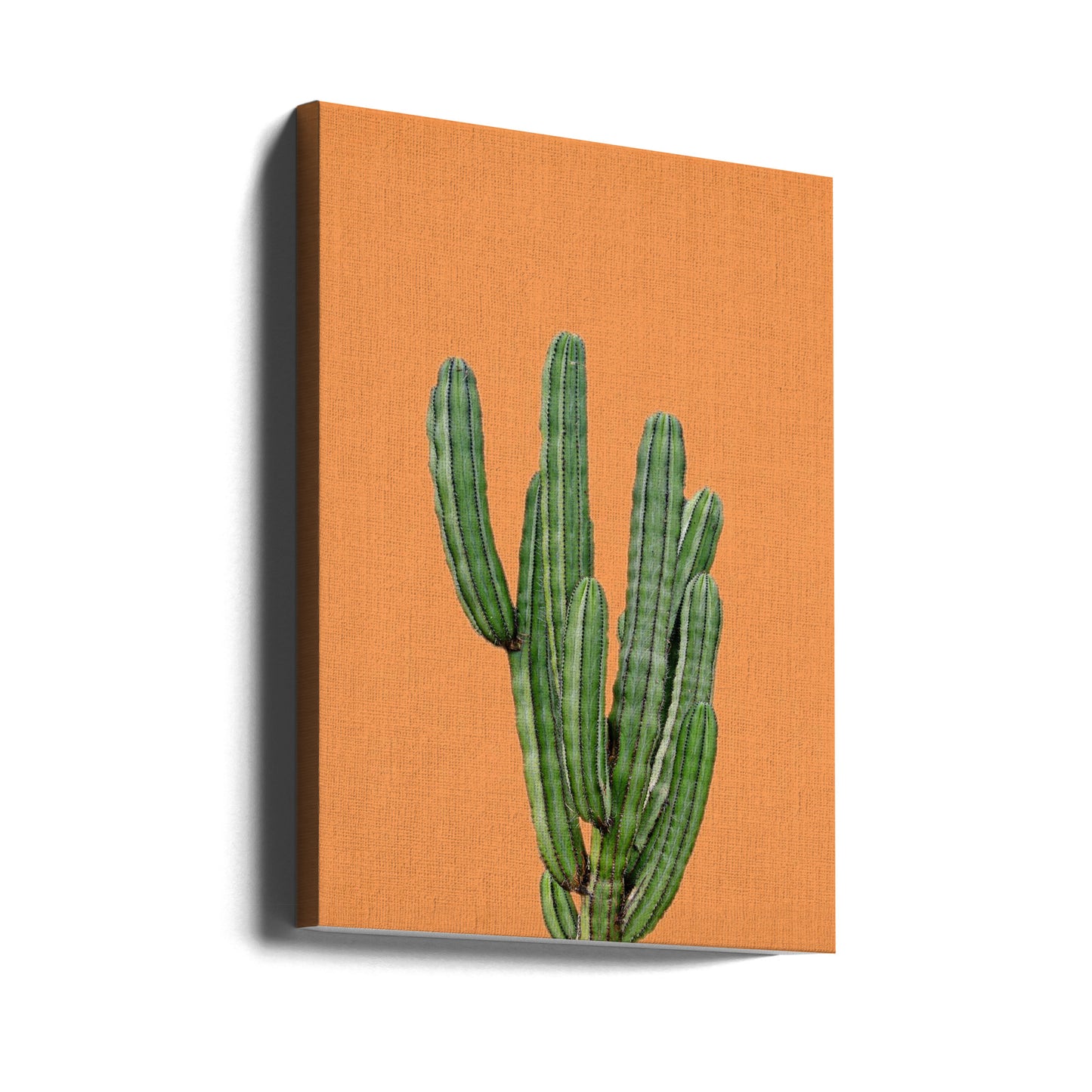 Orange kaktus | Canvas