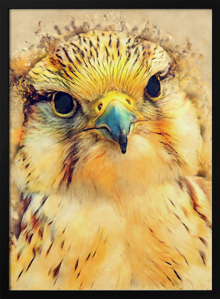 Tierfalke Aquarell Tierkunst | Poster