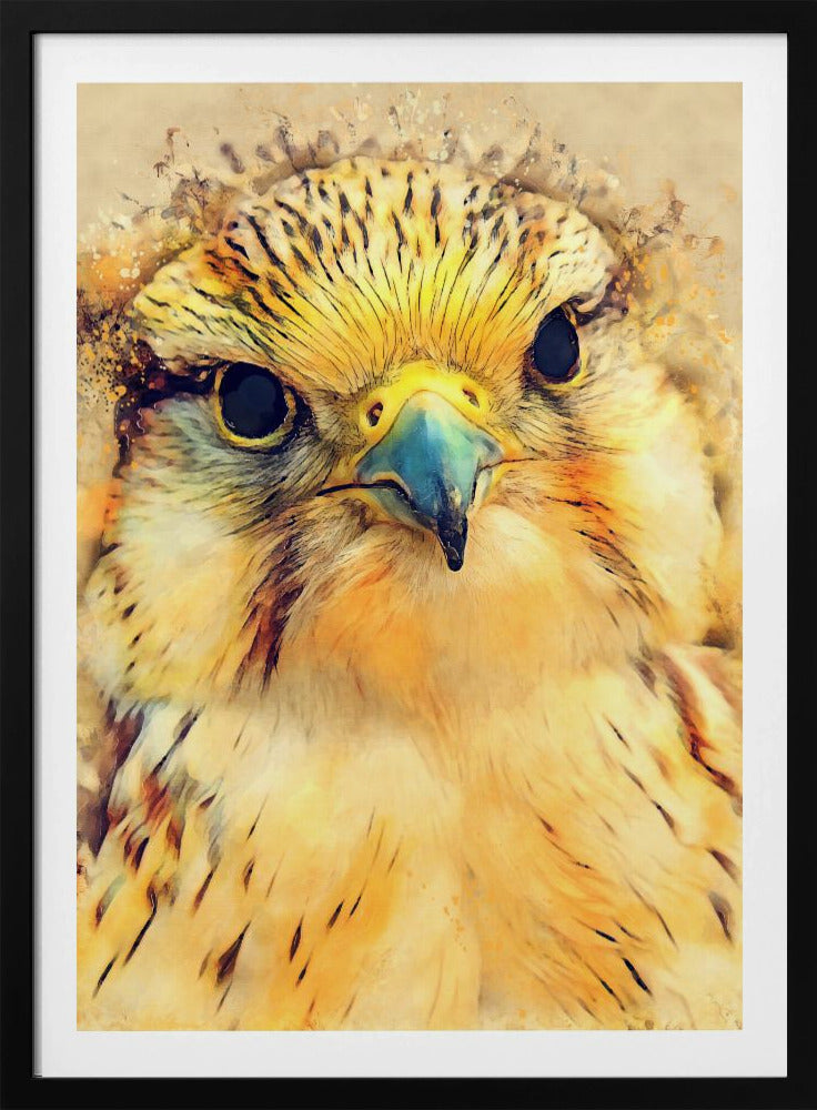 Tierfalke Aquarell Tierkunst | Poster