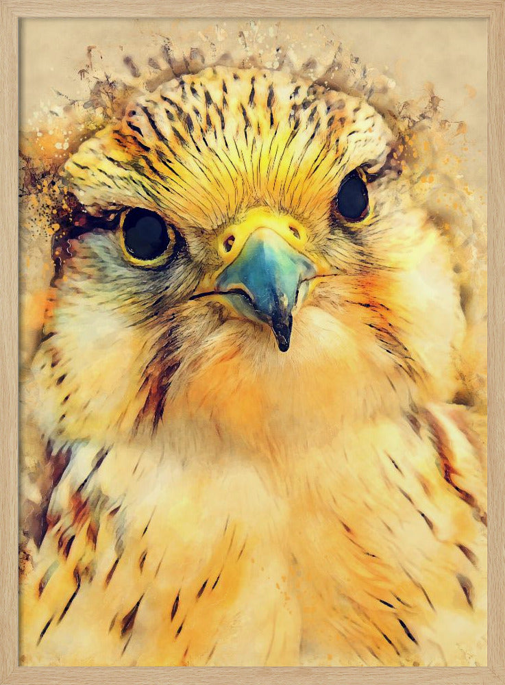 Tierfalke Aquarell Tierkunst | Poster