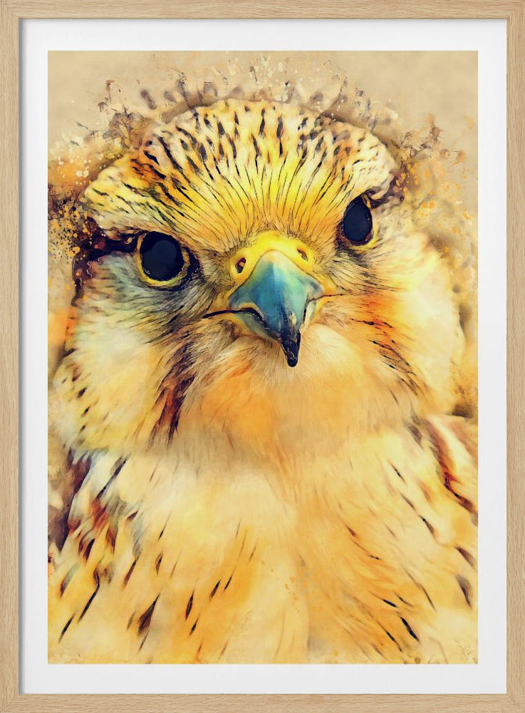 Tierfalke Aquarell Tierkunst | Poster