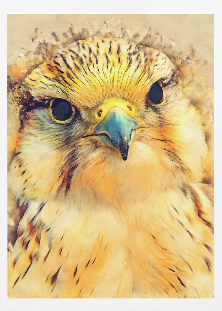 Tierfalke Aquarell Tierkunst | Poster