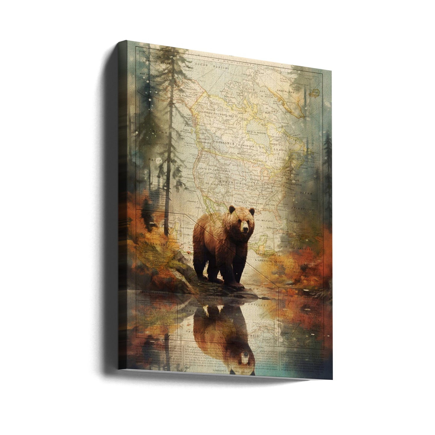 Grizzly 2 | Leinwand-Bilder