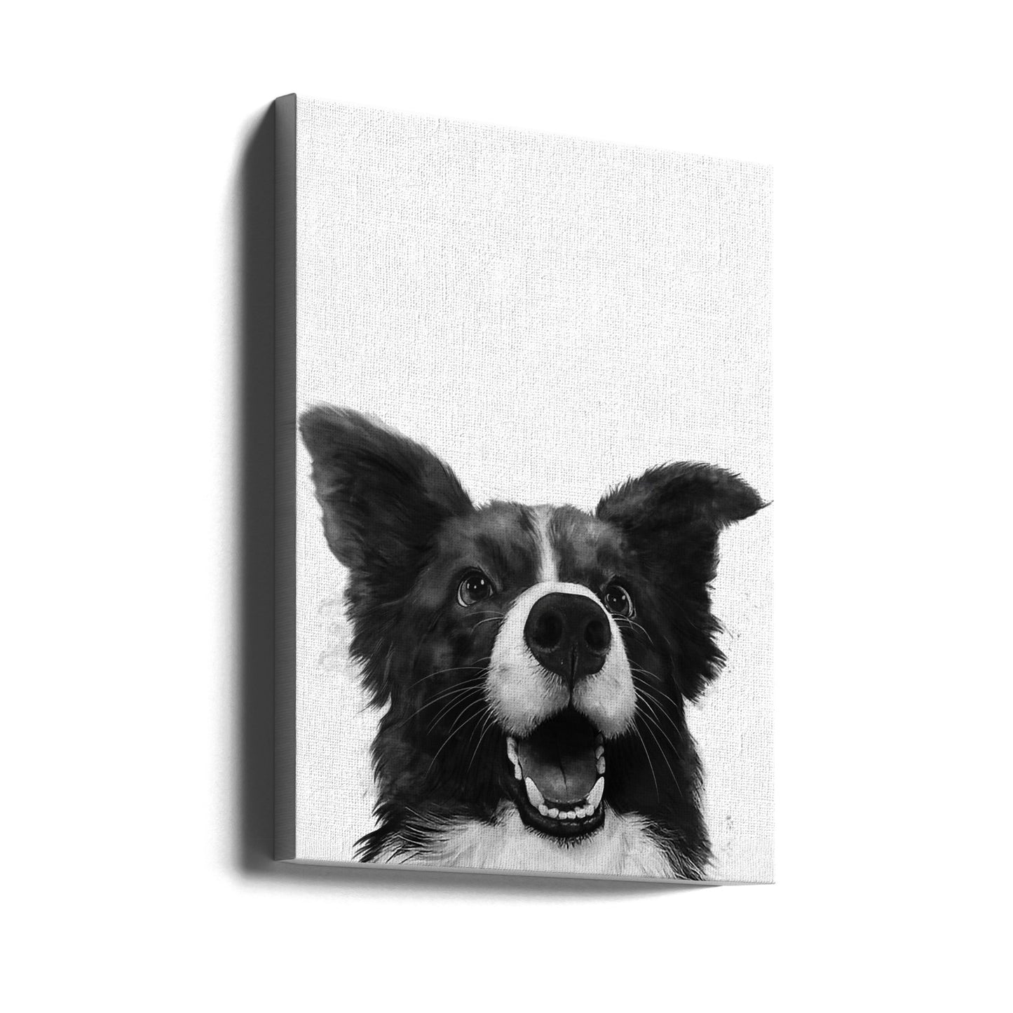 Regard canin joyeux | Tableaux sur Toile