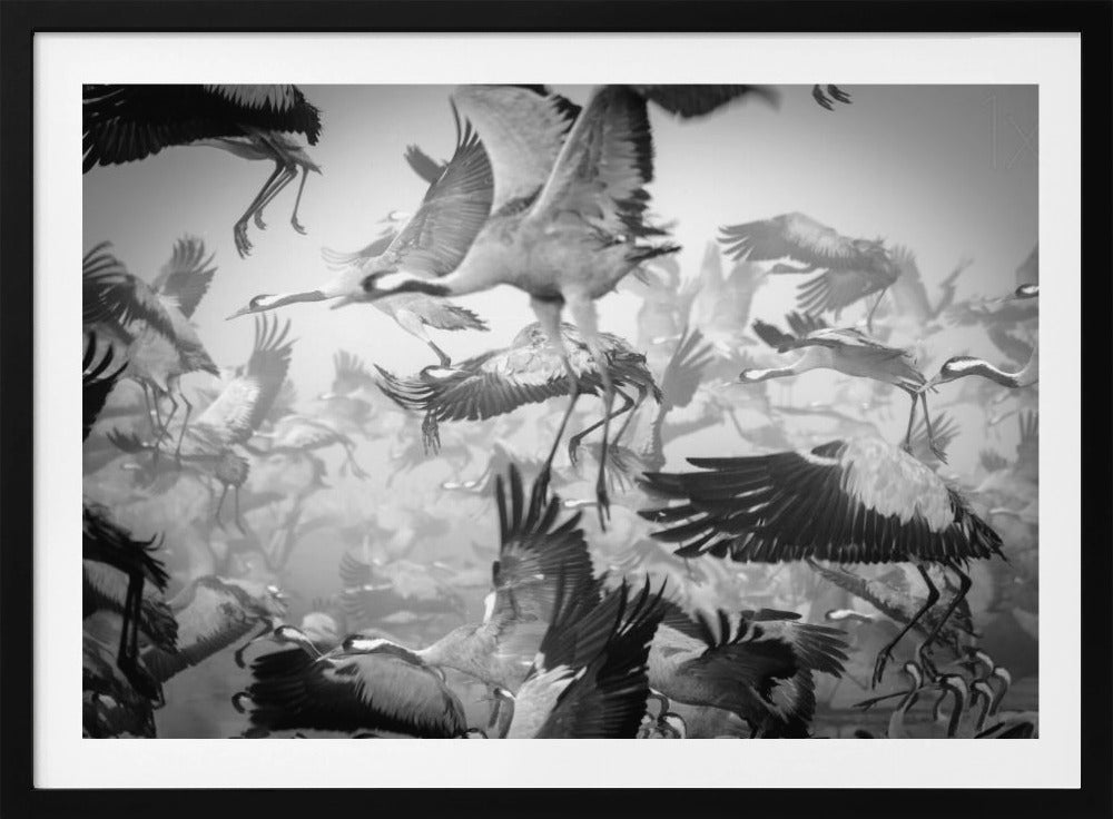 Chaos | Poster - Kunstdruck