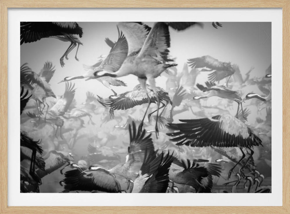 Chaos | Poster - Kunstdruck