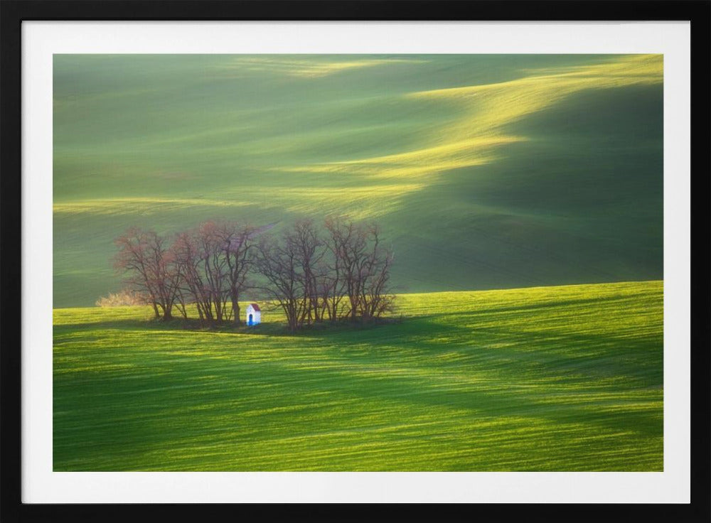 Campos... | Posters - Impresiones de Arte