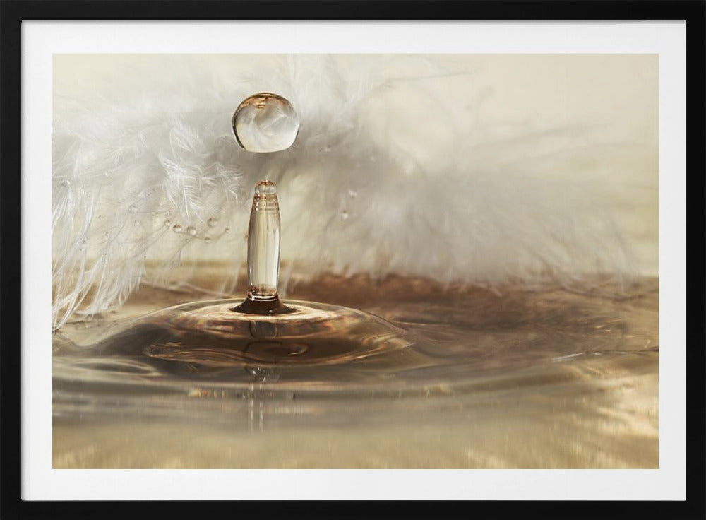 Gotas de plumas doradas | Posters - Impresiones de Arte