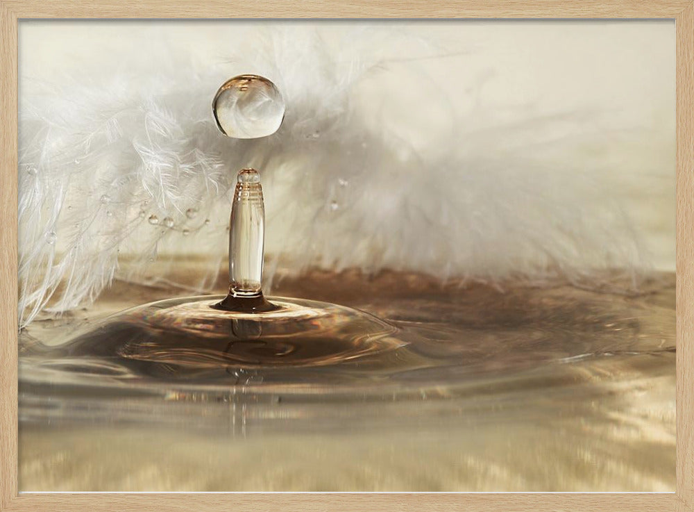 Gotas de plumas doradas | Posters - Impresiones de Arte