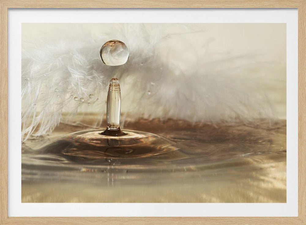 Gotas de plumas doradas | Posters - Impresiones de Arte