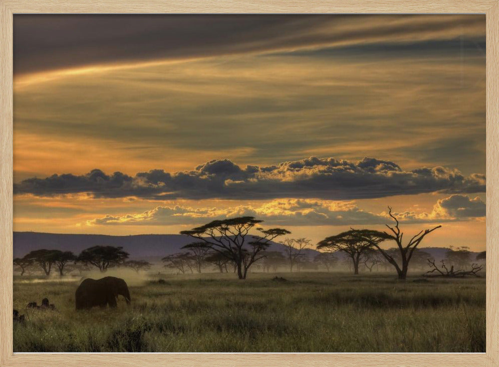 Africa | Poster - Stampe d’Arte