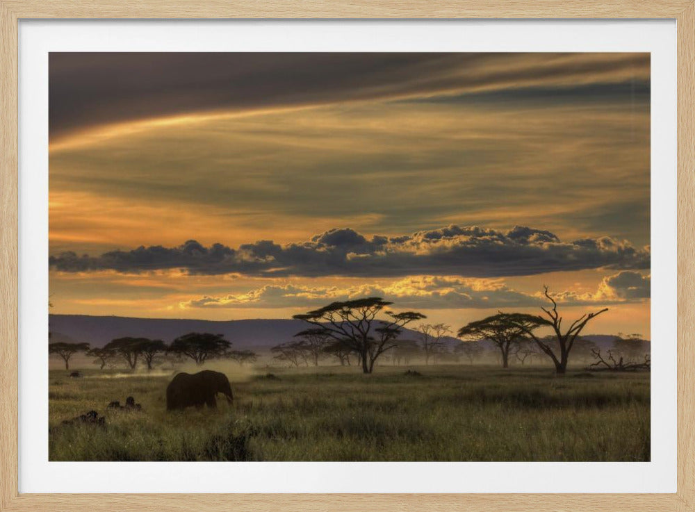 Africa | Poster - Stampe d’Arte