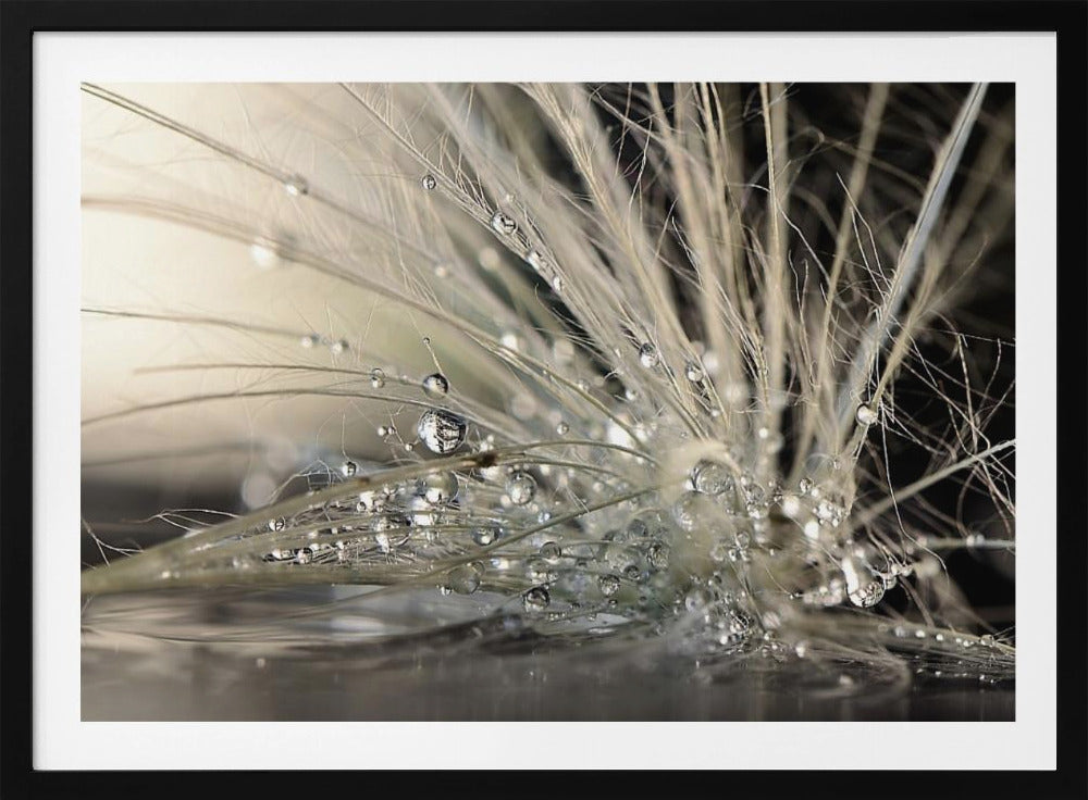 Perle | Poster - Stampe d’Arte