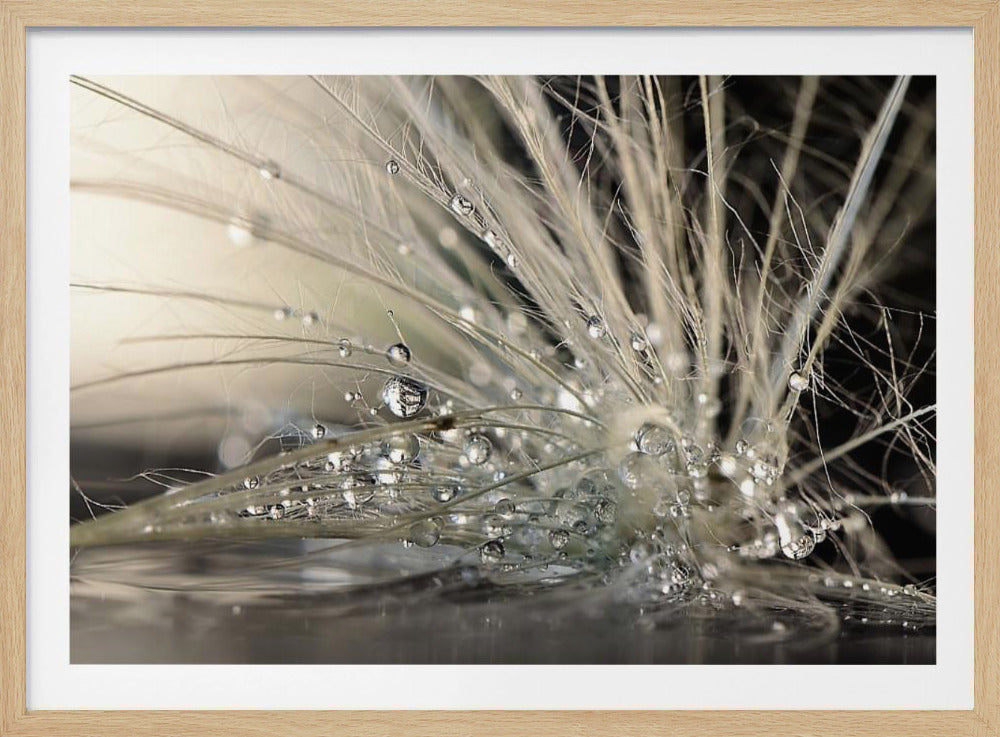Perle | Poster - Stampe d’Arte