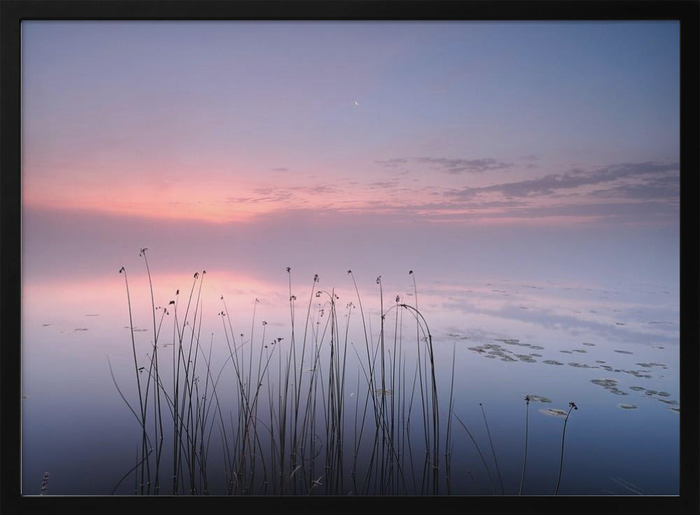 Lago | Poster - Stampe d’Arte