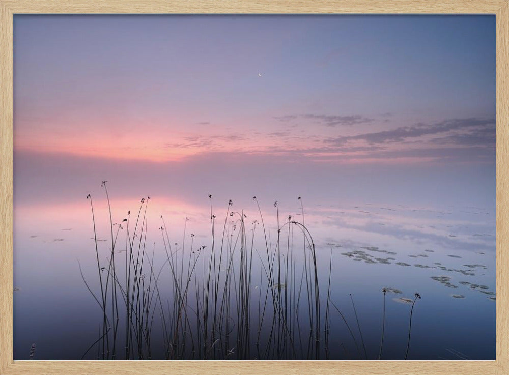 Lago | Poster - Stampe d’Arte