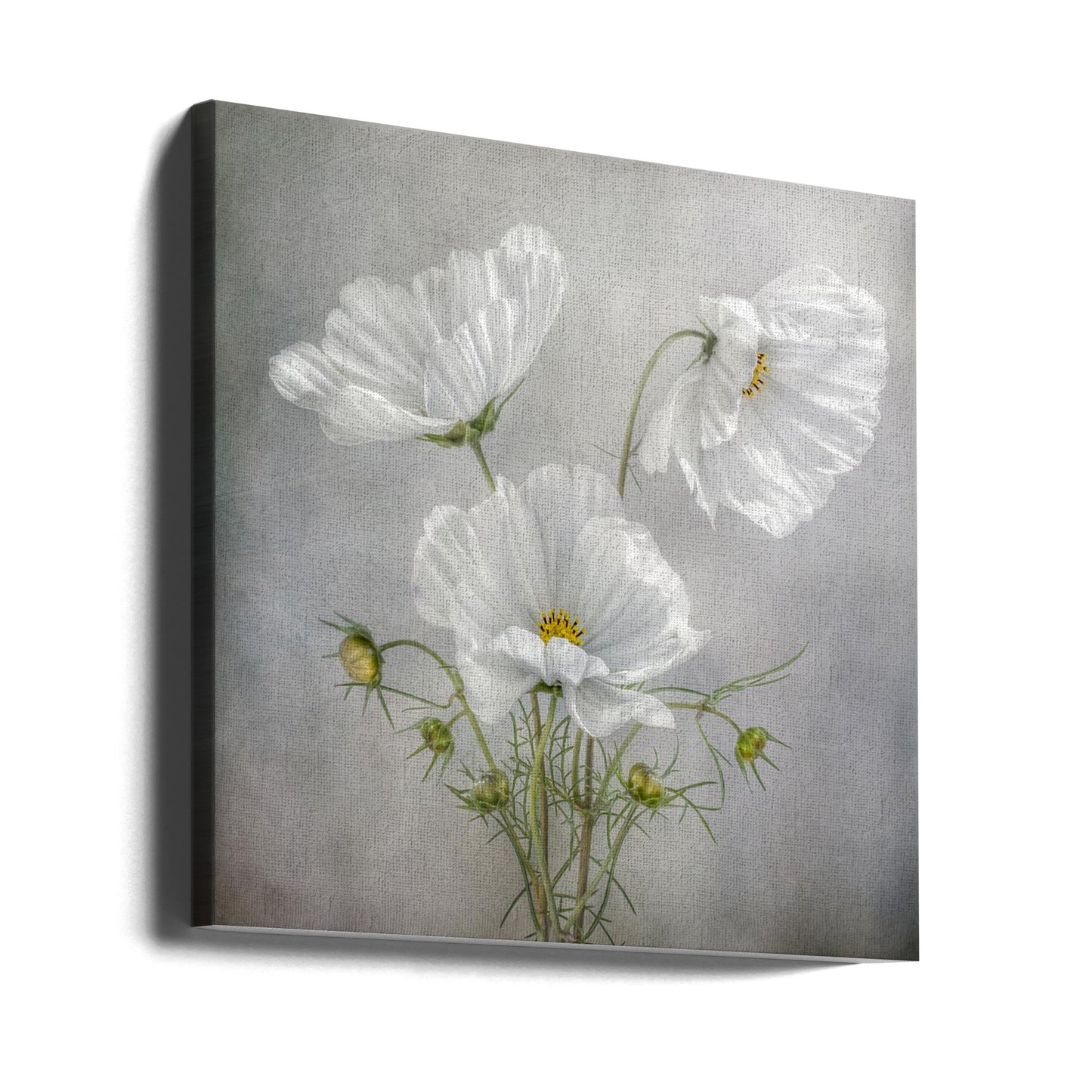 Charme Cosmos | Tableaux sur Toile