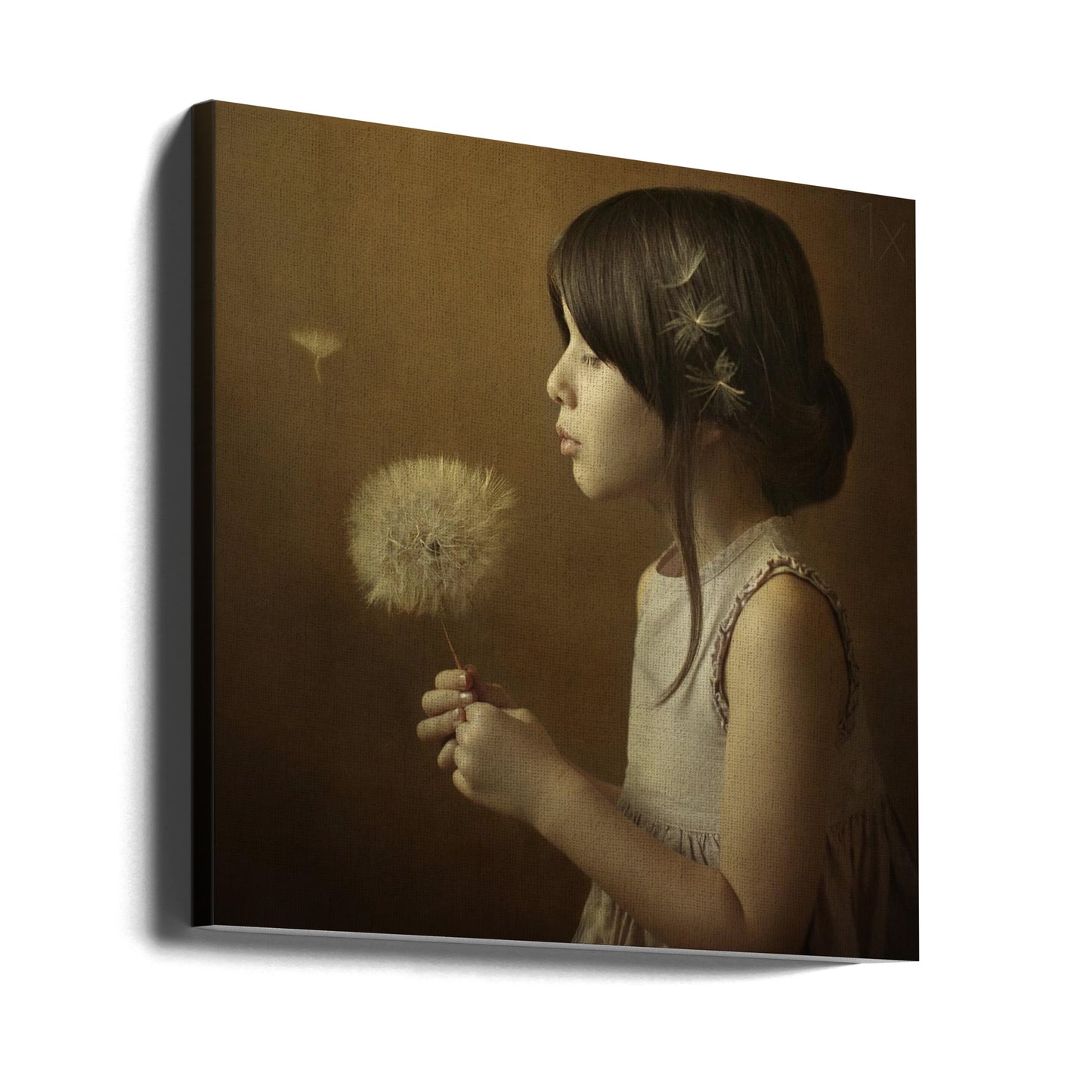 Un poème sur le pissenlit | Tableaux sur Toile