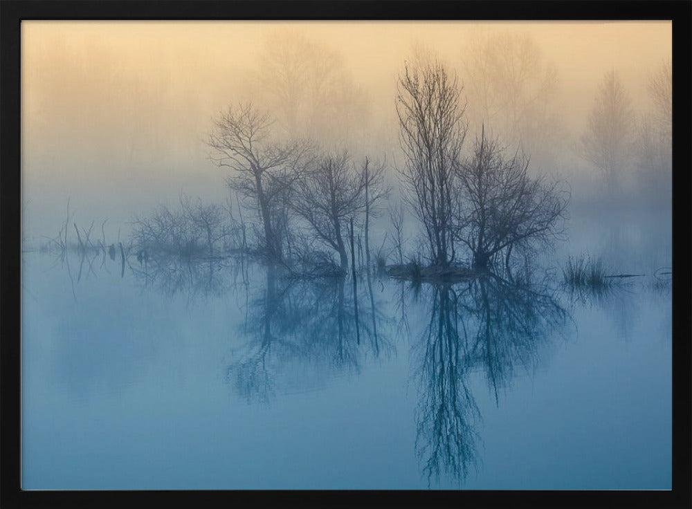 Poranna refleksja | Plakaty - Wydruki Artystyczne