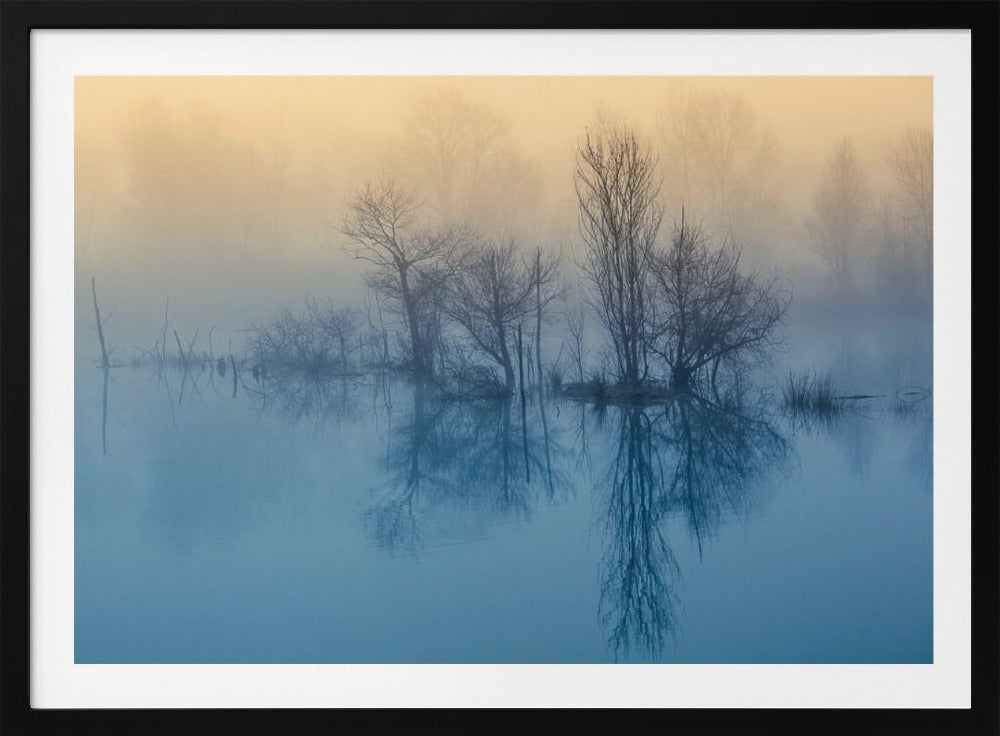 Poranna refleksja | Plakaty - Wydruki Artystyczne
