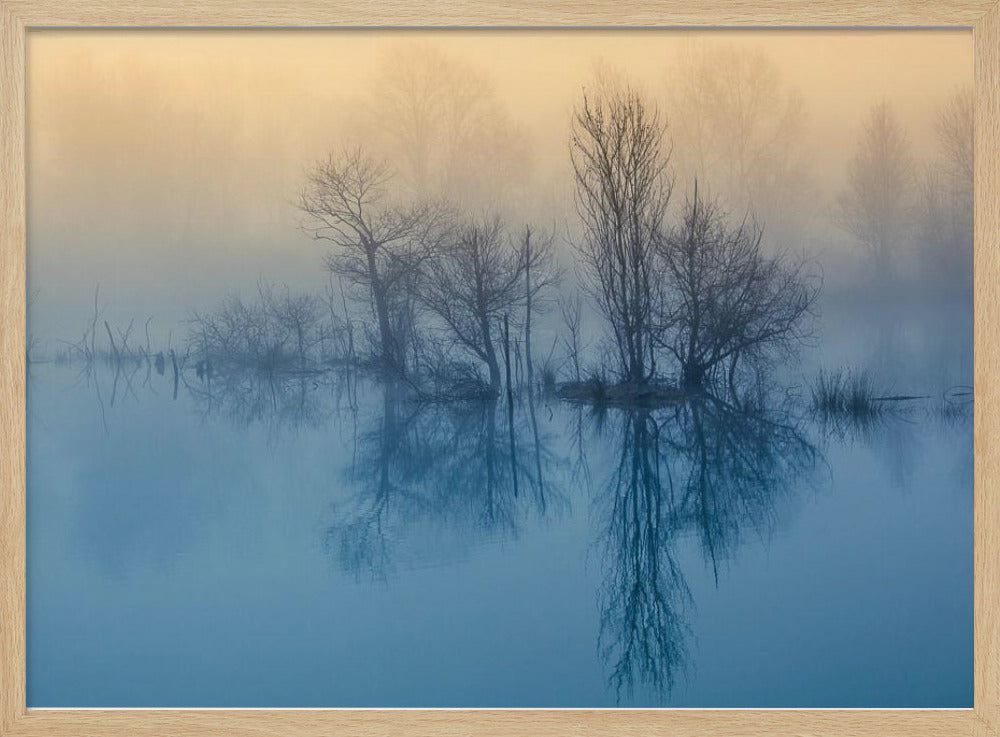 Poranna refleksja | Plakaty - Wydruki Artystyczne