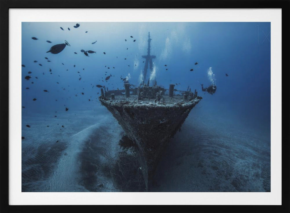 Bonjour Wreck | Posters - Affiche Artistique